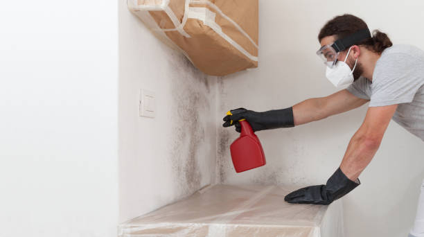 Professional Black Mold Remediation technician working in Franklin, MI