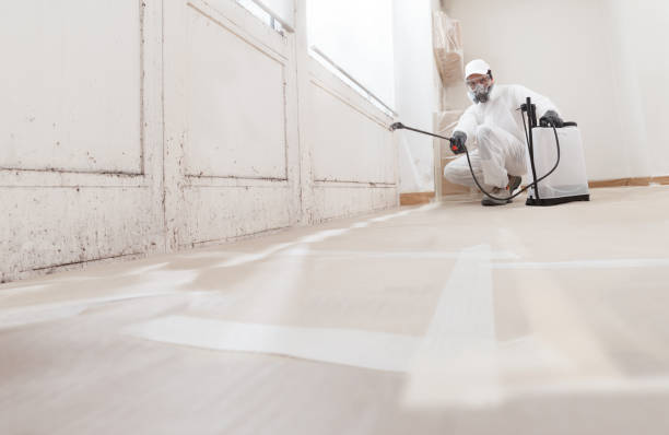 24/7 Emergency Black Mold Remediation experts in Franklin, MI