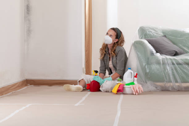 Reliable Black Mold Remediation contractor in Franklin, MI by Mold Remediation HQ
